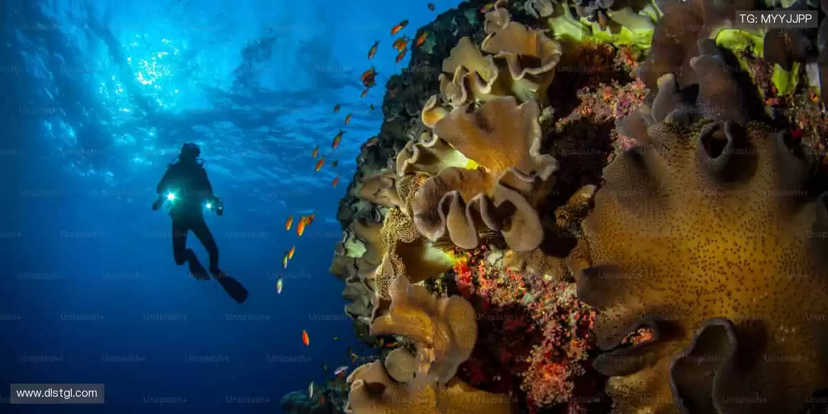 🎯球迷专属，正品周边一键直达！👕