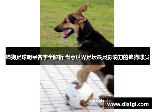 狼狗足球明星名字全解析 盘点世界足坛最具影响力的狼狗球员