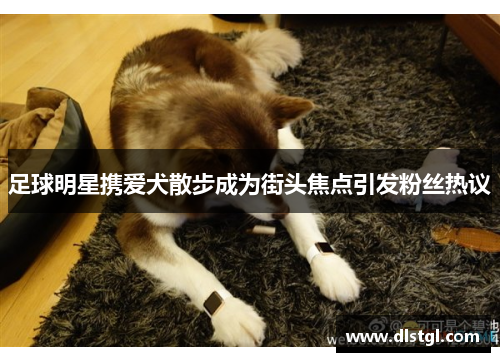 足球明星携爱犬散步成为街头焦点引发粉丝热议