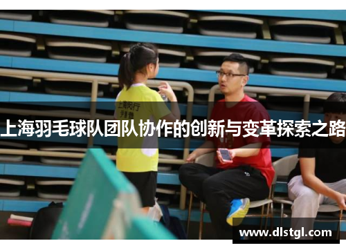 上海羽毛球队团队协作的创新与变革探索之路