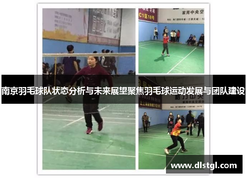 南京羽毛球队状态分析与未来展望聚焦羽毛球运动发展与团队建设
