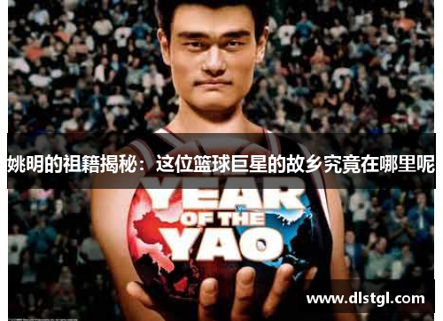 姚明的祖籍揭秘：这位篮球巨星的故乡究竟在哪里呢